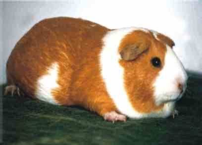 whatsapp image 2025 11 03 at 5.59.23 pm